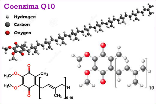 COENZIMA Q10