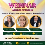 Webinar > Esttica heurstica