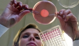 L'Oreal desarrollar piel humana con impresoras 3D para testear cosmticos