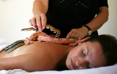 Snake Massage, el masaje con serpientes de Ada Barak