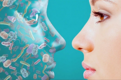 La importancia de la microbiota en la salud de la piel